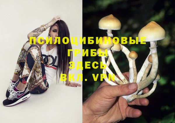 молекула духа Баксан